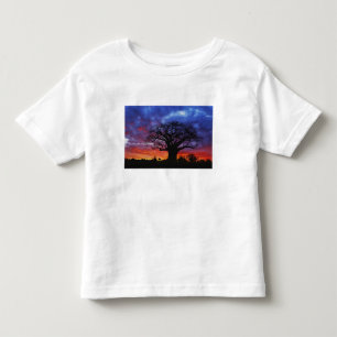 Camiseta Infantil Árvore baobá africana, Adansonia digitata, 2