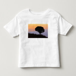 Camiseta Infantil Árvore Candelabro silhuetada ao nascer do sol,