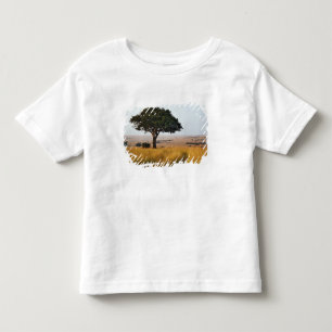 Camiseta Infantil Árvore de acácia solitária em planícies gramadas,