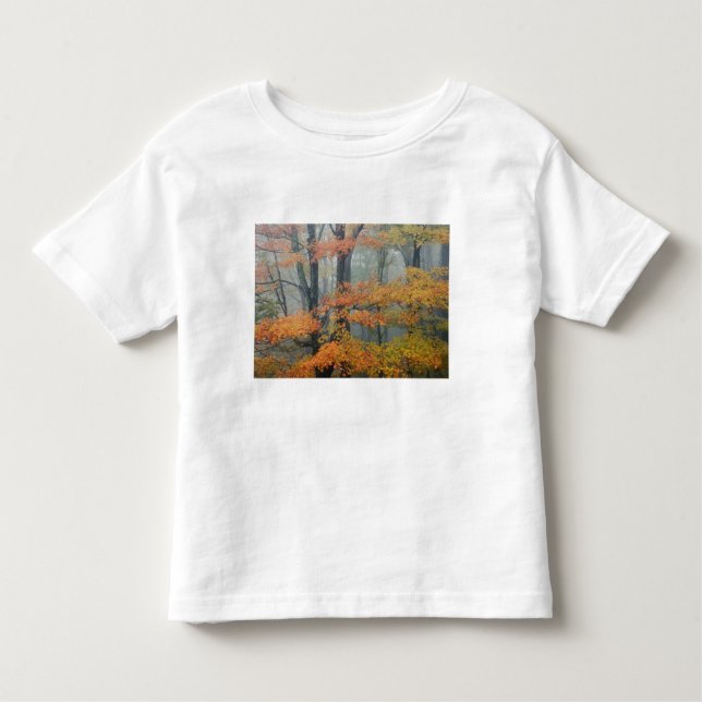 Camiseta Infantil Árvore de ácer, Acer rubrum, retrato em neblina (Frente)