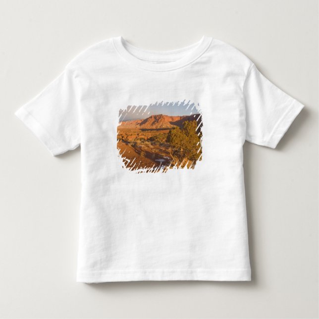 Camiseta Infantil Árvore de Utah (Juniper Juniperus osteosperma) em  (Frente)