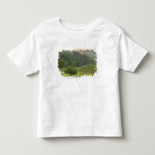 Camiseta Infantil Árvore solitária em campo agrícola, Toscana,