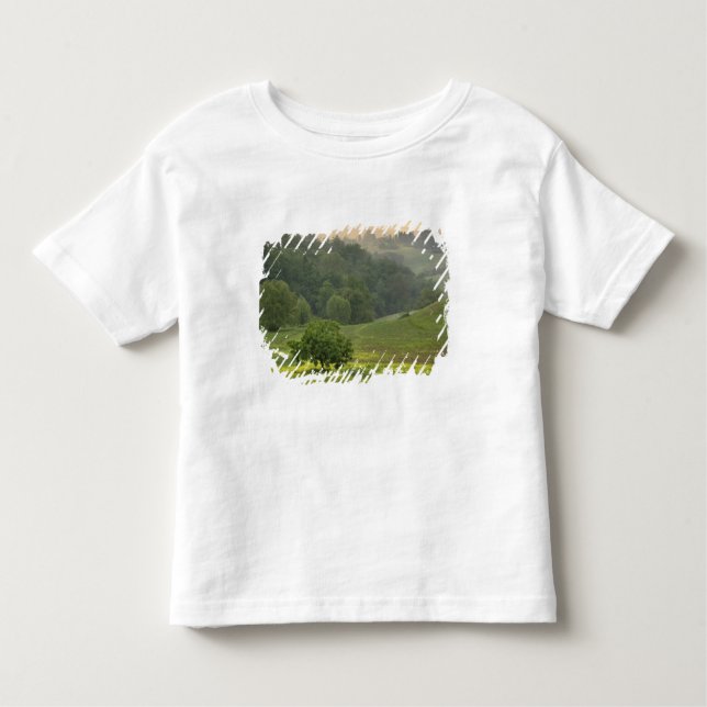 Camiseta Infantil Árvore Solteiro em campo de fazenda agrícola, Tosc (Frente)