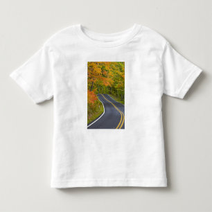 Camiseta Infantil Árvores coloridas no cenário da linha de outono