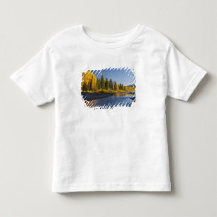 Camiseta Infantil Árvores de Cottonwood refletidas no Pacific Creek