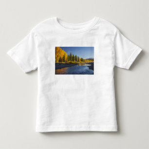 Camiseta Infantil Árvores de Cottonwood refletidas no Pacific Creek