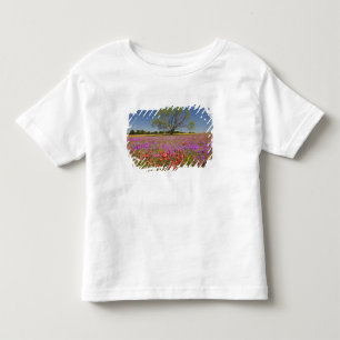 Camiseta Infantil Árvores de mesquite de primavera crescendo em flor