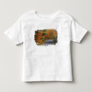 Camiseta Infantil Árvores de outono alinham a estrada no Parque Esta