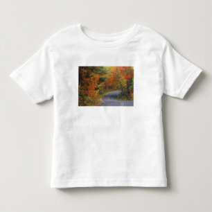 Camiseta Infantil Árvores de outono alinham-se à estrada no Parque E