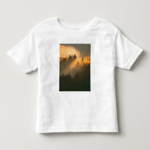 Camiseta Infantil Árvores de sequóia no nevoeiro costeiro, Condado d