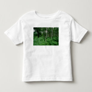 Camiseta Infantil Árvores de vidoeiro de prata e samambaias,
