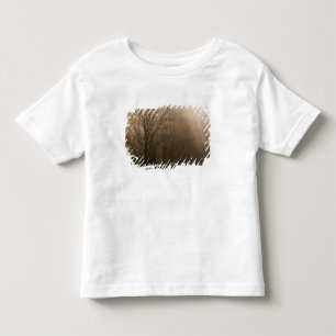 Camiseta Infantil Árvores do Tennessee no Excelente americano Mount