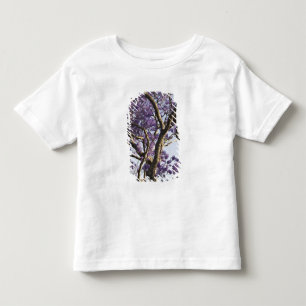 Camiseta Infantil Árvores Jacaranda em Floração no Parque New Farm,