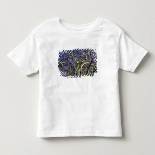 Camiseta Infantil Árvores Jacarandá Floridas no Parque New Farm, 2