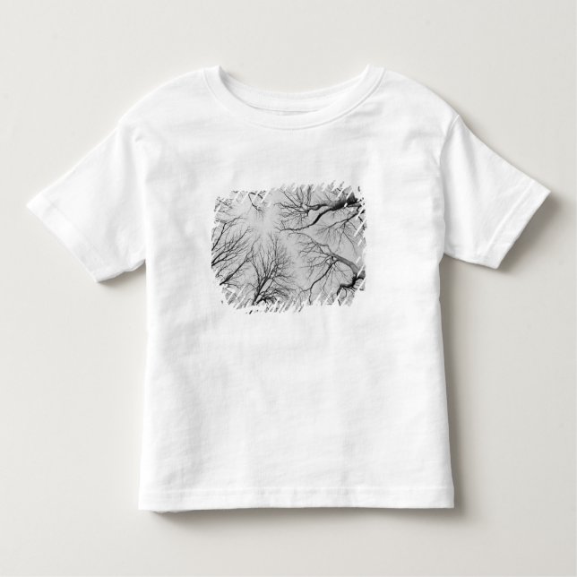 Camiseta Infantil Árvores Leafless na madeira de Thiepval (Frente)