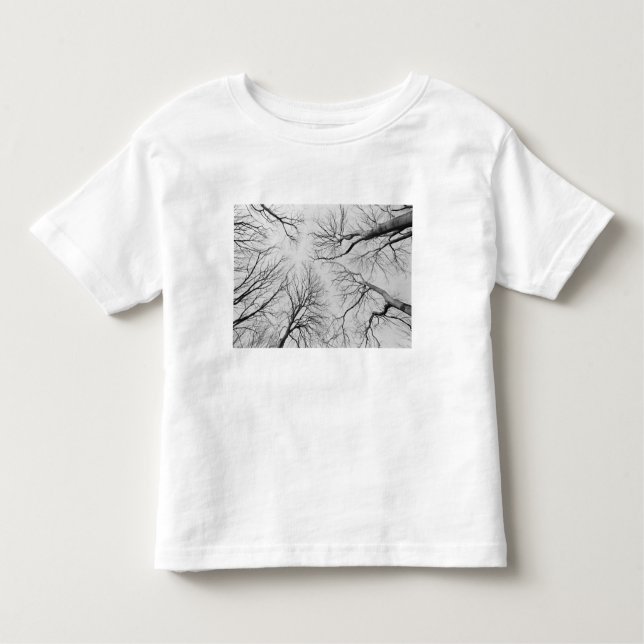 Camiseta Infantil Árvores Leafless na madeira de Thiepval (Frente)