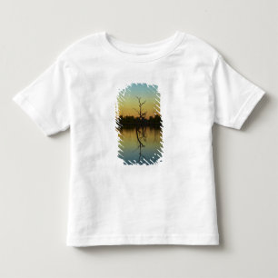 Camiseta Infantil Árvores mortas refletidas na Lagoa Lily Creek, ao 