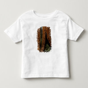 Camiseta Infantil Árvores Sequoias, Parque Nacional Sequoia.