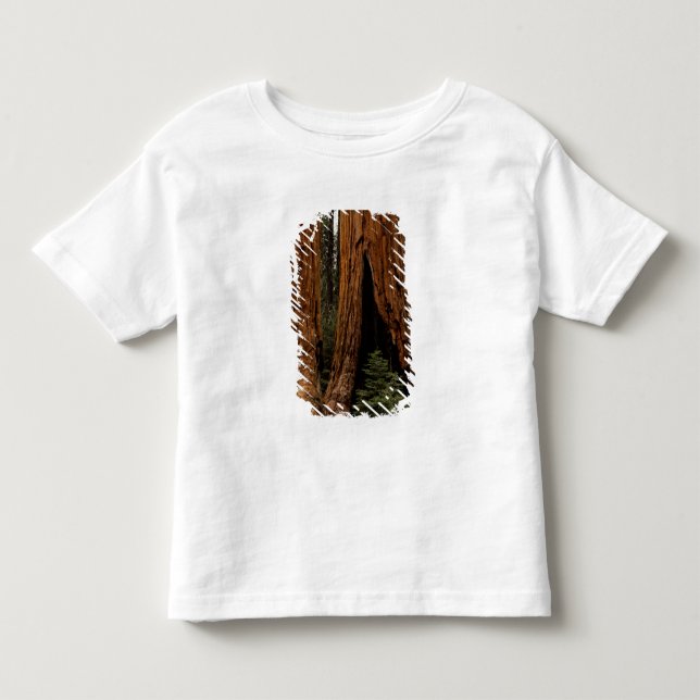 Camiseta Infantil Árvores Sequoias, Parque Nacional Sequoia. (Frente)