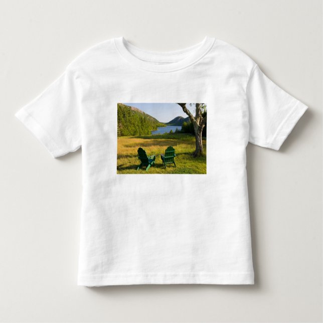 Camiseta Infantil As cátedras de Adirondack no gramado da Jordânia (Frente)