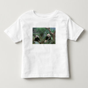 Camiseta Infantil Ásia, China, Chengdu. Santuário da panda gigante