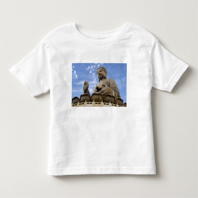 Camiseta Infantil Ásia, China, Hong Kong, Ilha Lantau, Ngong (Frente)