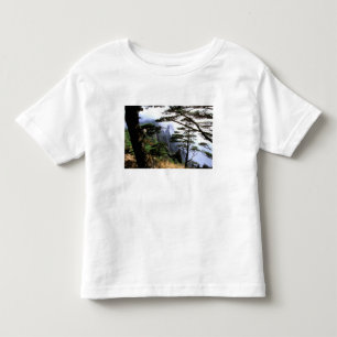 Camiseta Infantil Ásia, China, Huanshan. A montanha amarela