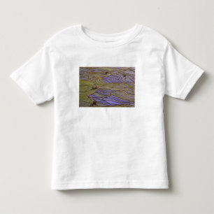 Camiseta Infantil Ásia, China, Província de Yunnan, Yuanyang. Inunda