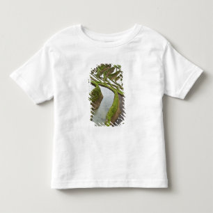 Camiseta Infantil Ásia, China, Yunnan, Yuanyang. Arroz inundado