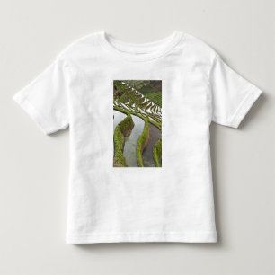 Camiseta Infantil Ásia, China, Yunnan, Yuanyang. Arroz inundado