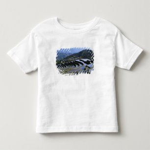 Camiseta Infantil Ásia, China, Yunnan, Yuanyang. Áspero