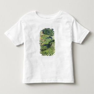 Camiseta Infantil Ásia, China, Yunnan, Yuanyang. Padrão de verde