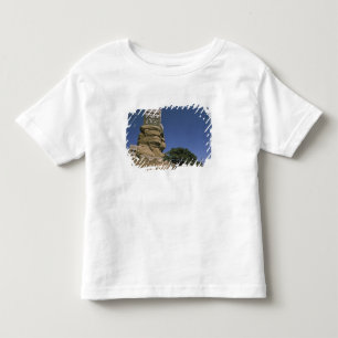 Camiseta Infantil Ásia, Iêmen, Wadi Dhar. Palácio de Rocha, ou Dar A