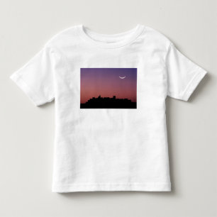 Camiseta Infantil Ásia, Índia, Rajastão, Jaipur. Uma crescente
