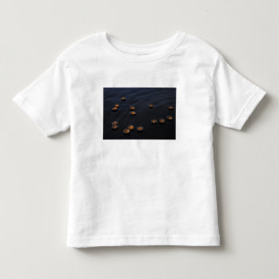 Camiseta Infantil Ásia, Índia, Região de Varanasi. Oferendas no
