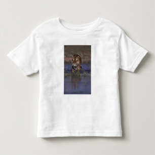 Camiseta Infantil ÁSIA, Índia Tigre andando pela água