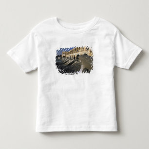 Camiseta Infantil Ásia, Irã, Isfahan. Ponte Pol-e Khaju.