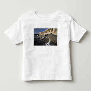 Camiseta Infantil Ásia, Irã, Isfahan. Ponte Pol-e Khaju.