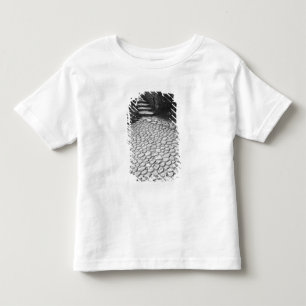 Camiseta Infantil Ásia, Japão, Hiroshima. Detalhe de Shukkei, en