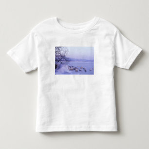 Camiseta Infantil Ásia, Japão, Hokkaido, Parque Nacional Akan, Cisne
