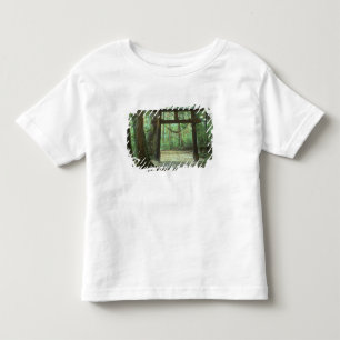 Camiseta Infantil Ásia, Japão, Kagoshima, Yakushima, Montanha