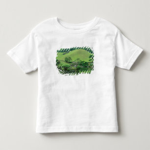Camiseta Infantil Ásia, Japão, Kumamoto, Suizenji Koen