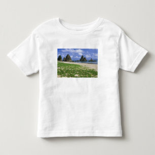 Camiseta Infantil Ásia, Japão, Okinawa, Costa de Yambaru, Mar