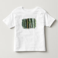 Ásia, Japão, Quioto, Arashiyama, Sagano, Bambu