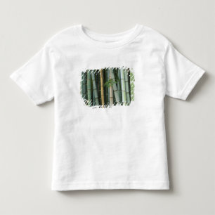 Camiseta Infantil Ásia, Japão, Quioto, Arashiyama, Sagano, Bambu