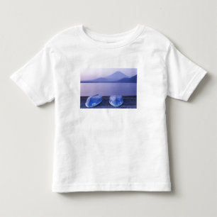 Camiseta Infantil Ásia, Japão, Yamanashi, Barcos a remo no Lago Moto