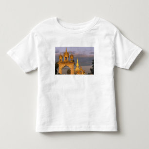 Camiseta Infantil Ásia, Laos, Vienciana. Templo That Luang.