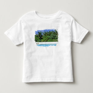 Camiseta Infantil Ásia, Maldivas. Atol North Male
