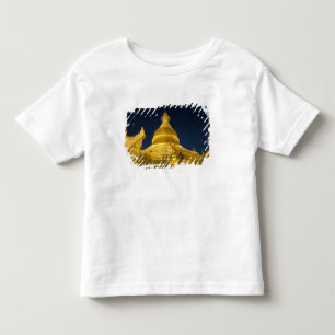 Camiseta Infantil Ásia, Maynmar, Yangon, templo budista em Yangon