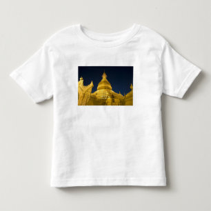 Camiseta Infantil Ásia, Maynmar, Yangon, templo budista em Yangon